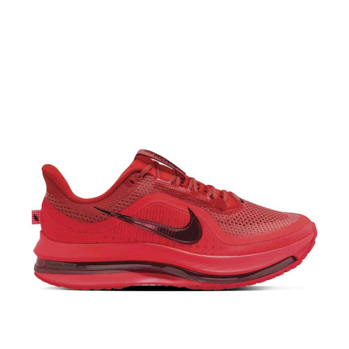 Nike Pegasus Premium 