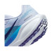 Nike Air Zoom Pegasus 41 