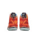 Nike Lebron IX