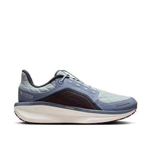 Nike Air Winflo 11 GTX