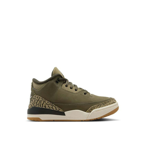 Air Jordan 3 Retro PS 