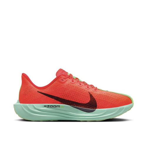 Nike Pegasus Plus 