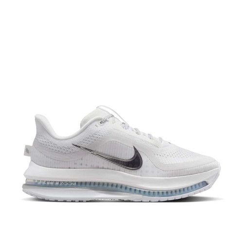 Nike Pegasus Premium W 