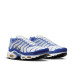 Nike Air Max Plus 