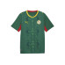 Puma FSF Away Jersey Replica