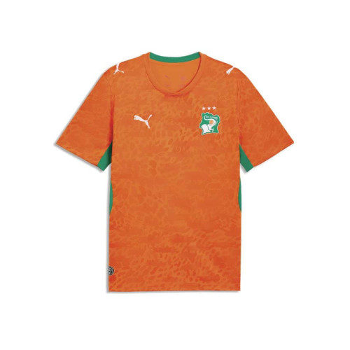 Puma FIF Home Jersey Replica