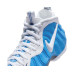 Nike Air Foamposite Pro 