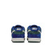 Nike SB Dunk Low Pro