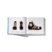 Adidas Archive The Footwear Collection