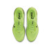Nike Pegasus Premium 