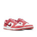 Nike Dunk Low W V.Day