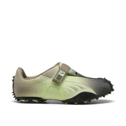 Puma Rpt-2 Biology Puma Rpt-2 Biology