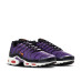 Nike Air Max Plus OG