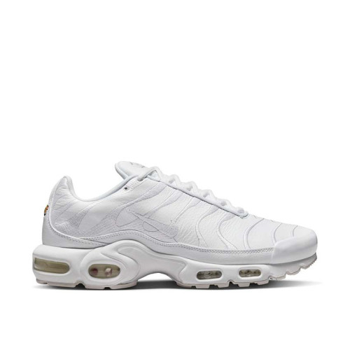 Nike Air Max Plus Leather