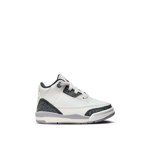 Jordan 3 Retro TD