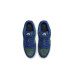 Nike SB Dunk Low Pro