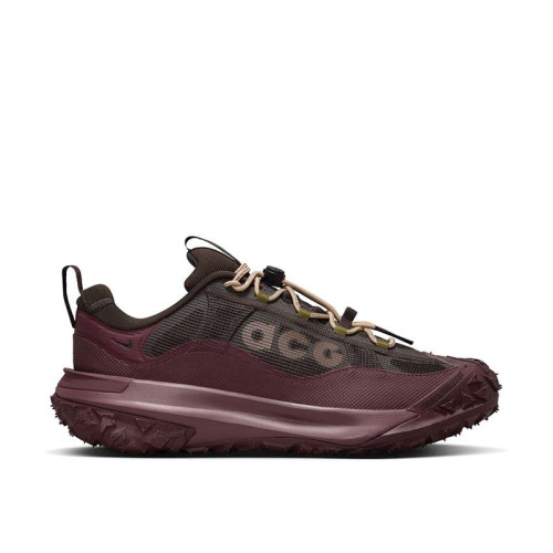 Nike ACG Mountain Fly 2 Low Gore-Tex 
