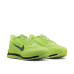 Nike Pegasus Premium 