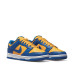 Nike Dunk Low Retro 