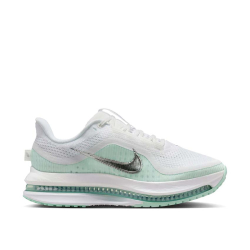 Nike Pegasus Premium W 