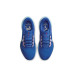 Nike Air Zoom Pegasus 41 CM 