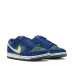 Nike SB Dunk Low Pro