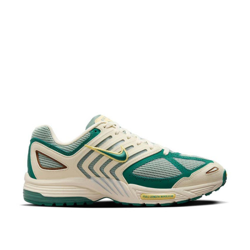 Nike Air Pegasus 2005 