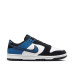 Nike Dunk Low Retro NAS