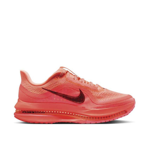 Nike Pegasus Premium W 