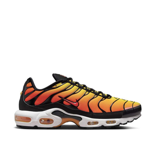 Nike Air Max Plus OG 
