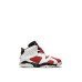 Air Jordan 6 Retro PS