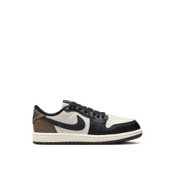 Jordan 1 Retro Low 