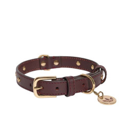 Adidas Pet Collar 