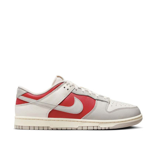 Nike Dunk Low Retro 