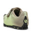 Puma Rpt-2 Biology 