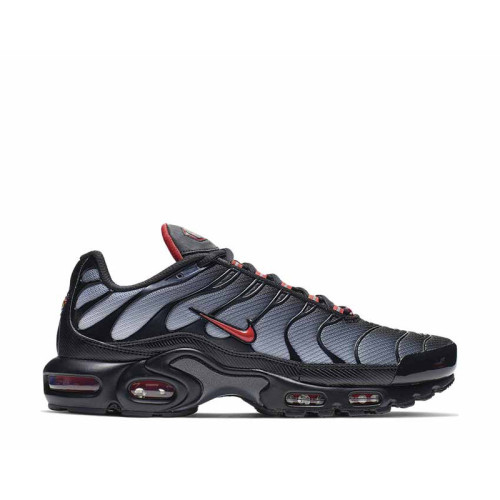 Nike Air Max Plus 