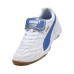 Puma King Indoor 
