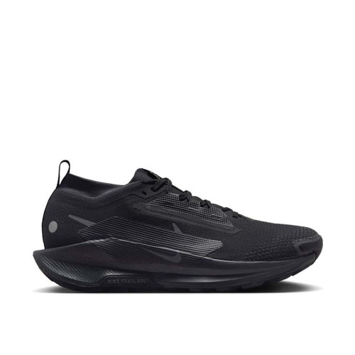 Nike Pegasus Trail 5 GTX