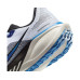 Nike Air Zoom Pegasus 41 