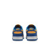 Nike Dunk Low Retro 