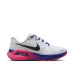 Nike Structure Plus SE W 