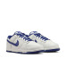 Nike Dunk Low Retro 