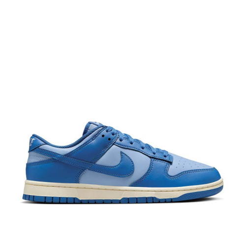 Nike Dunk Low Retro 