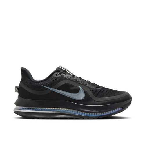 Nike Pegasus Premium 