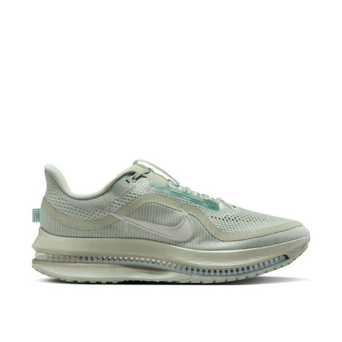 Nike Pegasus Premium 