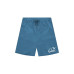 Arte Birds Logo Shorts 