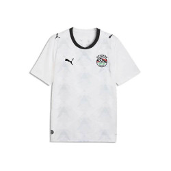 Puma EFA Away Jersey Replica