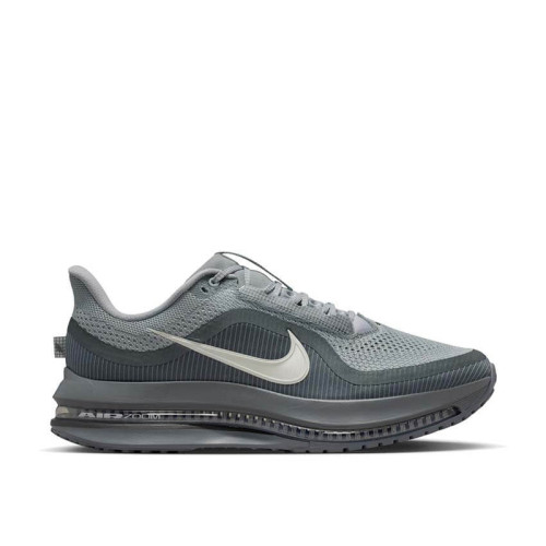 Nike Pegasus Premium 