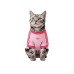Adidas Pet Cali Tee 