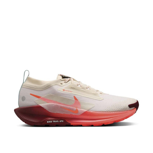 Nike Pegasus Trail 5 GTX 